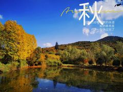 -石塘人家