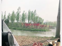-东郊湿地公园