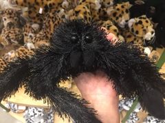 iphone_upload_pic-Behring World of Animals(上海自然博物馆店)