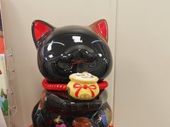 -美联众合爱康动物医院•复杂内科•肿瘤科•牙科•腔镜诊疗中心
