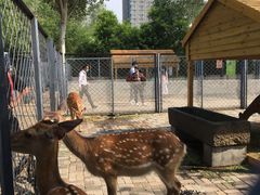 -长白岛森林公园