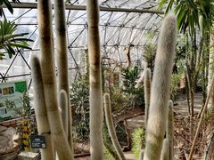 -北京植物园-展览温室