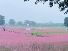 -汉长安城未央宫国家考古遗址公园