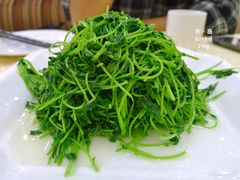 -海岛渔村大酒店(云霄路店)