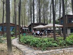 -林间山庄