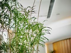 -上蔬无瑕· 创意素食·Vegetarian(华采天地店)
