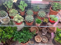 -万商花鸟市场