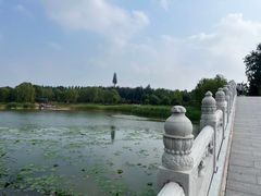-西海子公园