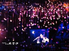 -南京奥林匹克体育中心-体育馆