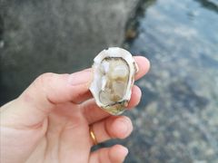 -烟台碧海饭店(烟台火车站店)