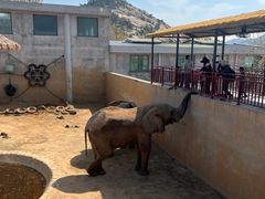-西霞口神雕山野生动物世界