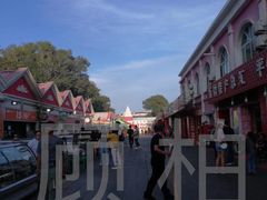 -布尔津河堤夜市