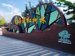 -北海金海湾红树林生态旅游区