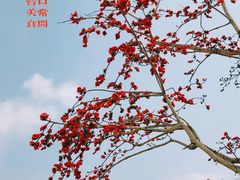 -三亚南山文化旅游区