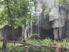 -海南热带野生动植物园