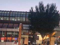 -阿露佳·舌尖上的安吉菜