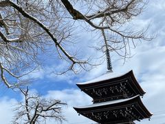 -医王山·飞騨国分寺