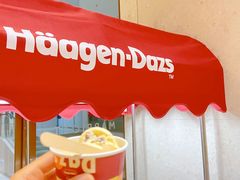 -顺德美的万豪酒店·自助餐·贡厨