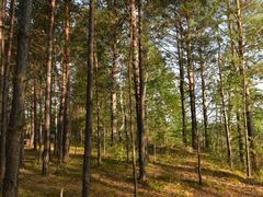 -北极村旅游风景区