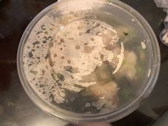 -千里香馄饨·面·黄焖鸡米饭(万科·金润华府店)