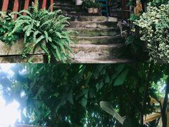 -懒鱼时光馆(沙坪坝店)