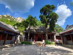 -龙泉寺