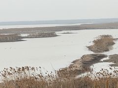 -盐城丹顶鹤湿地生态旅游区