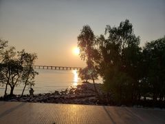 -宝安西湾红树林湿地公园