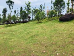 -枫香湖儿童公园