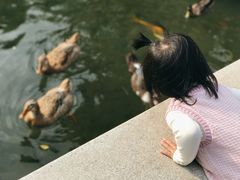 -广州神农草堂中医药博物馆