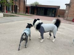 -小意思咖啡店(草桥店)