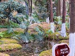 -成都市活水公园