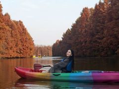 -上海海湾国家森林公园