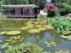 -国家植物园南园