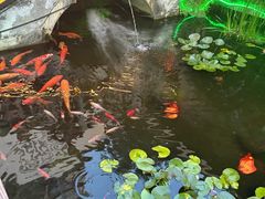 -凤凰山斑鱼馆(恭城店)