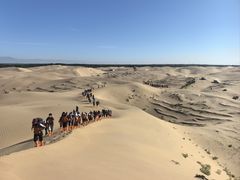 -恩格贝生态旅游区