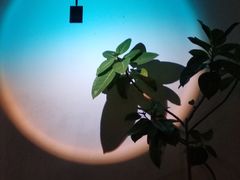 -夜宴江景餐厅