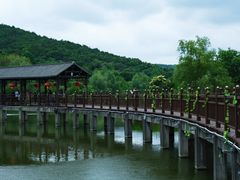 -石塘人家