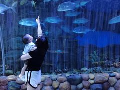 -华夏文旅海洋公园