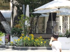 -一叶觅山(半边街店)