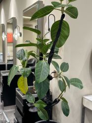 点击看大图 -凯博K-boom Hair Salon