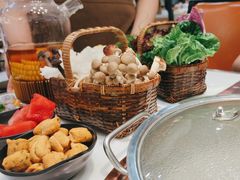 -洪氏嗨捞·猪肚鸡火锅(阳光天地店)