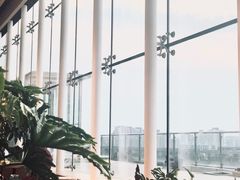 -Seesaw Coffee(朝阳大悦城店)