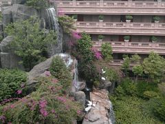 android_upload_pic-肇庆奥威斯酒店