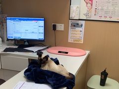 -瑞派康怡24h宠物医院·犬猫医疗中心·微创绝育(瑞景分院)