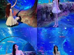 -沈阳海洋探索中心