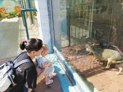 -大连森林动物园