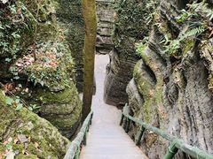 -梭布垭石林景区