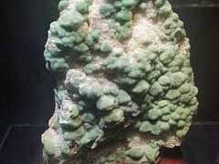 -超意兴·把子肉(省博物馆店)