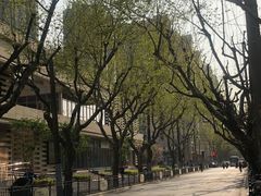 -上海三爱中医门诊部(建德坊店)